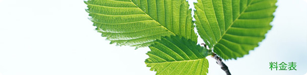 トップイメージ